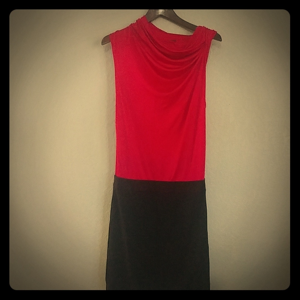 Fitted BCBG Dress
